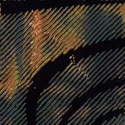 416000239