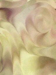 Item #399000088 Media