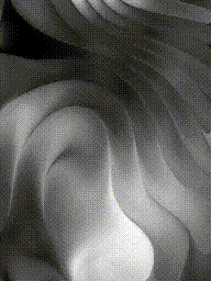 Item #399000217 Media