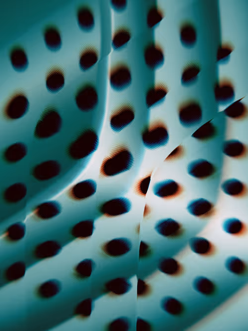 Item #484000268 Media