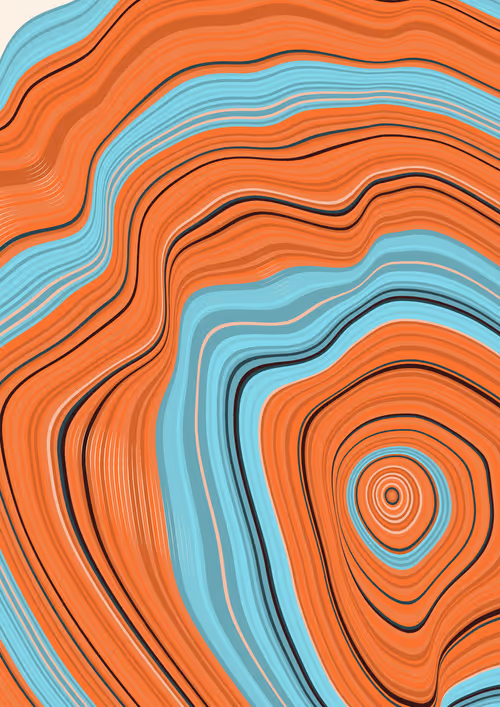 Item #443000081 Media