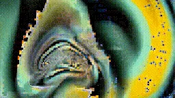 Item #472000482 Media