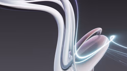 Item #438000215 Media