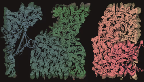 Item #456000290 Media