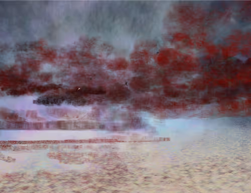 Item #459000060 Media