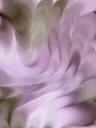 Item #399000272 Media