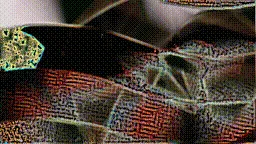 Item #472000227 Media