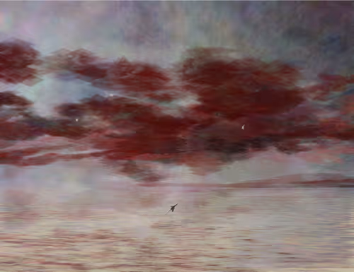 Item #459000059 Media