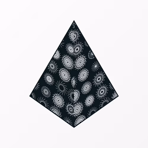 Item #420000000 Media