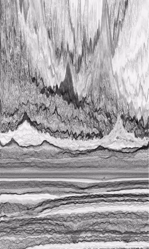 Item #404000055 Media