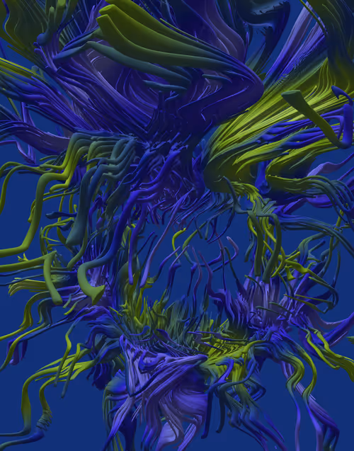 Item #391000013 Media