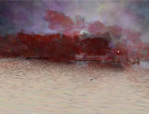 Item #459000053 Media