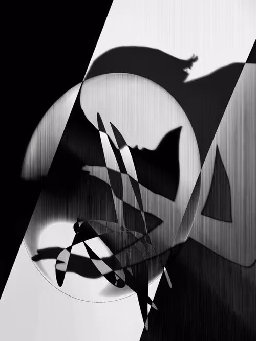 Item #455000153 Media