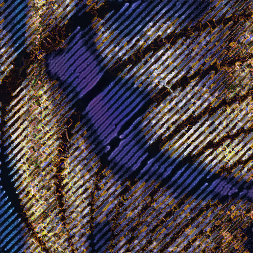 Item #416000040 Media