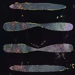 416000240