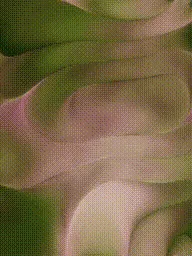 Item #399000180 Media