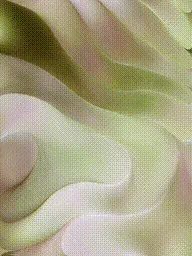 Item #399000080 Media