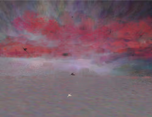 Item #459000004 Media