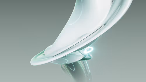 Item #438000233 Media