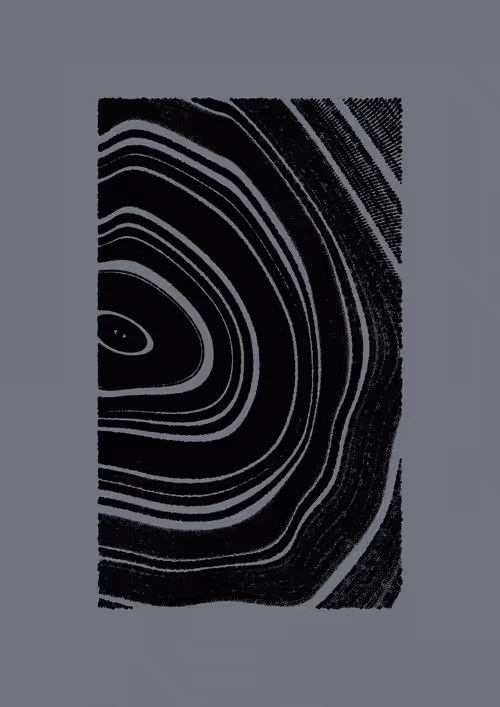 Item #443000099 Media