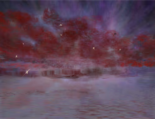 Item #459000019 Media