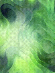 Item #399000086 Media