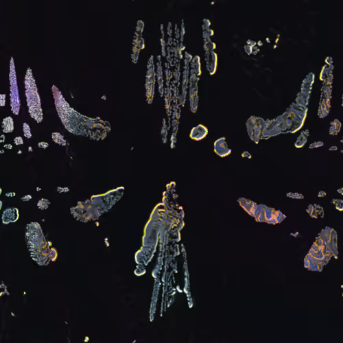 Item #416000199 Media