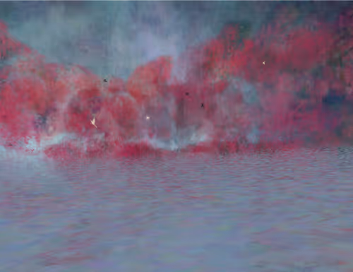 Item #459000030 Media