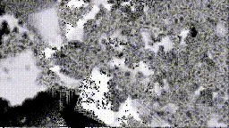 Item #472000080 Media