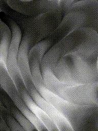 Item #399000118 Media