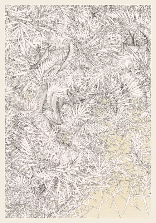 Item #382000069 Media