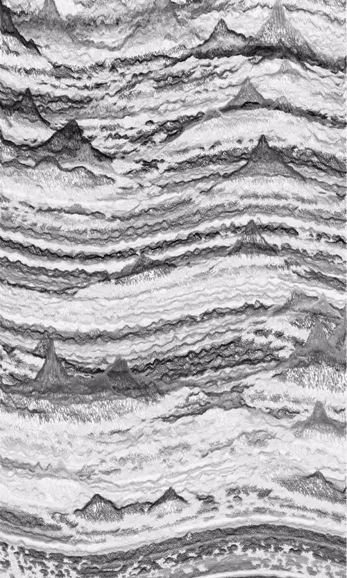 Item #404000093 Media