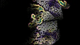 Item #472000261 Media