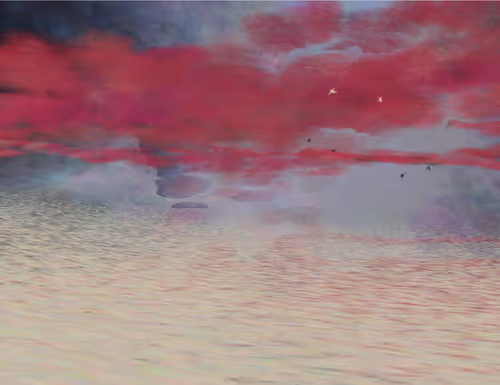 Item #459000095 Media