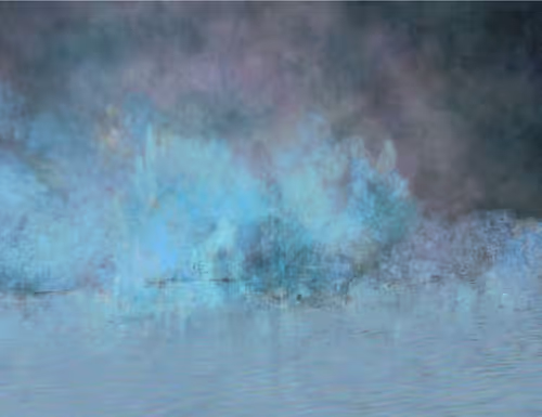 Item #459000017 Media