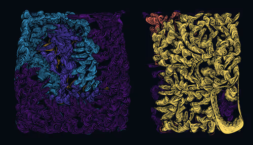 Item #456000319 Media