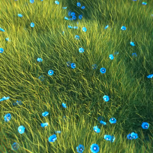 Item #5600020009 Media