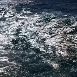 336