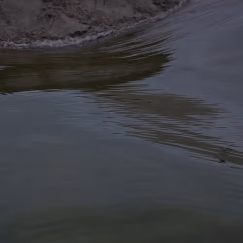 266