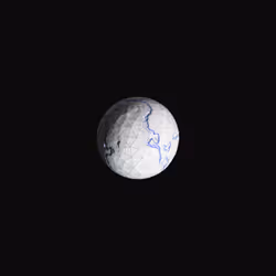 44