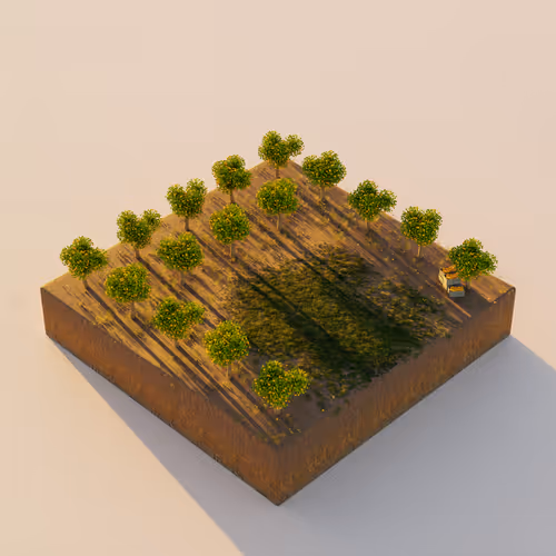 Item #64 Media
