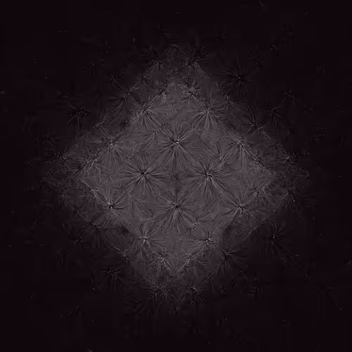 Item #1000000028 Media