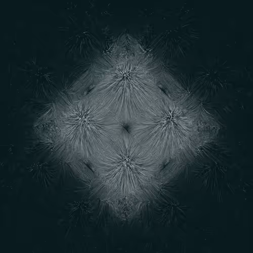 Item #1000000007 Media