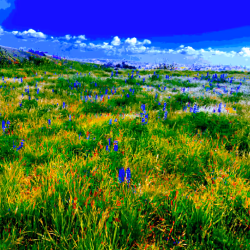Spring Awakening