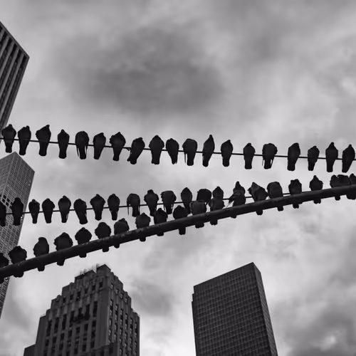 Monochrome City