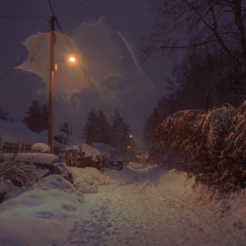 Winter Open Edition