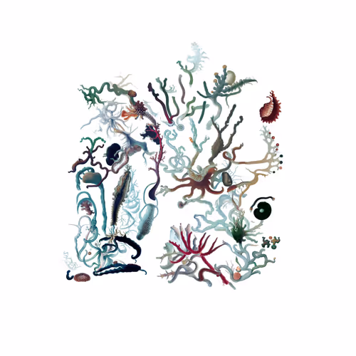 Item #2685566434 Media