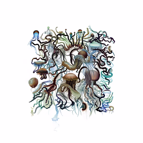 Item #2831976667 Media