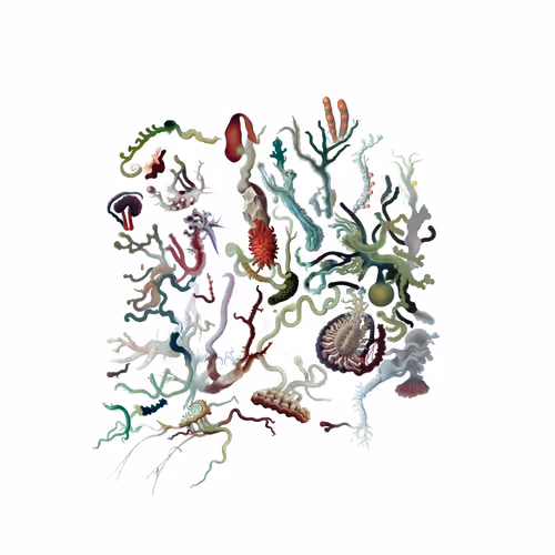 Item #1803433017 Media