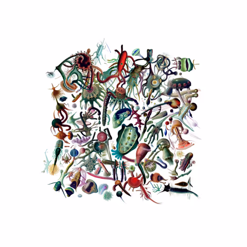 Item #1325886162 Media